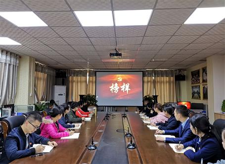 向榜樣看齊，做合格黨員