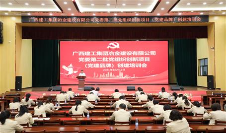 公司黨委召開第二批黨組織創(chuàng)新項目（黨建品牌）創(chuàng)建培訓(xùn)會